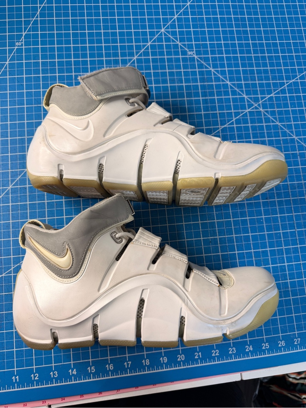 Nike LeBron 4 White Chrome